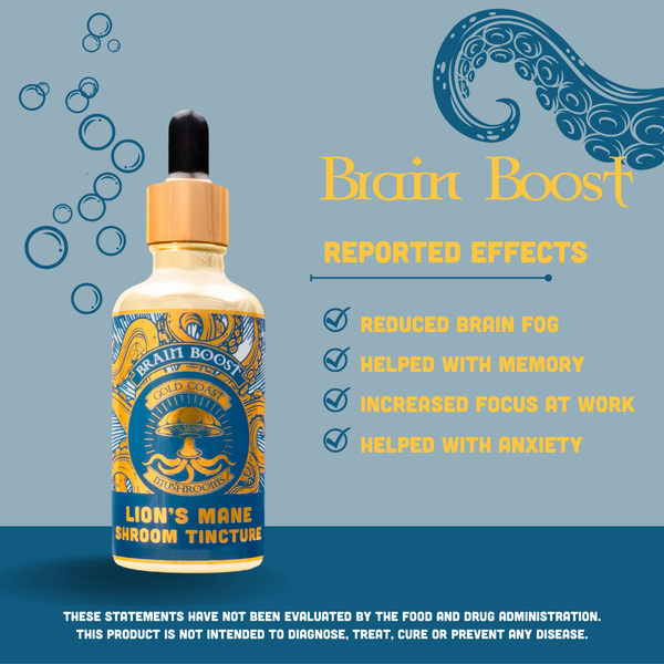 Brain Boost - Lion's Mane Mushroom Double-Extract Tincture - 50ml