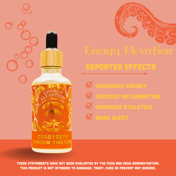 Energy Elevated - Cordyceps Mushroom Double-Extract Tincture - 50ml